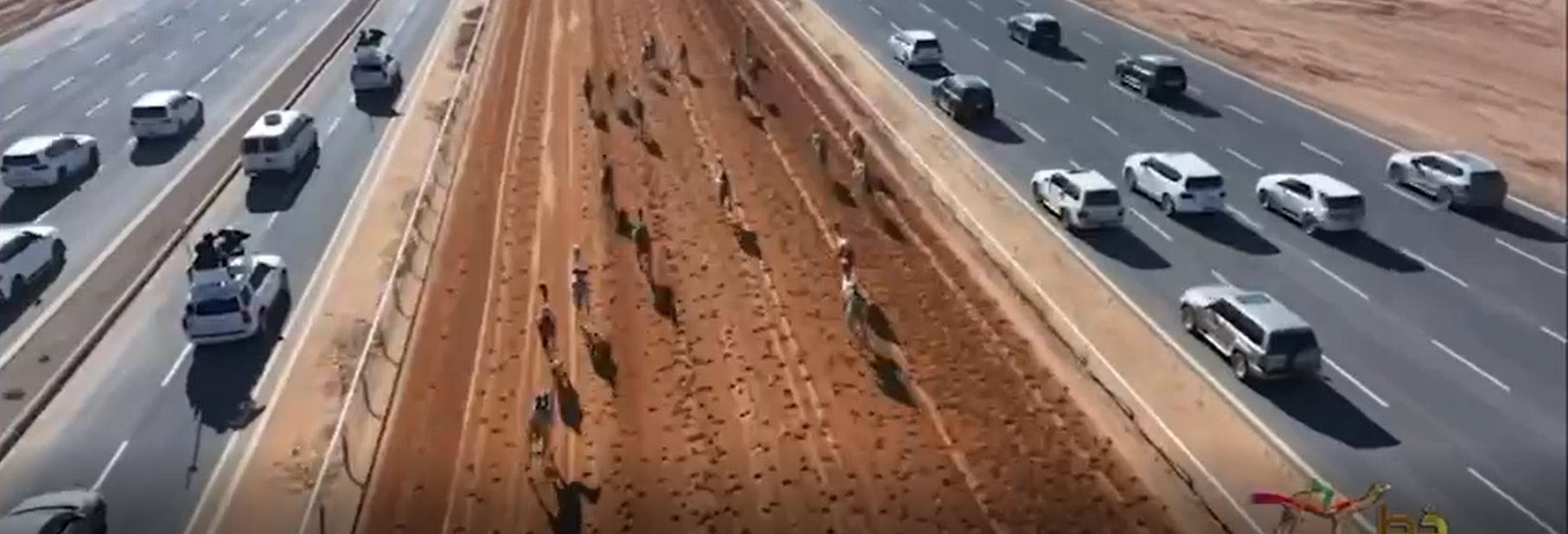 الاتحادات العربية في مهرجان خادم الحرمين الشريفين